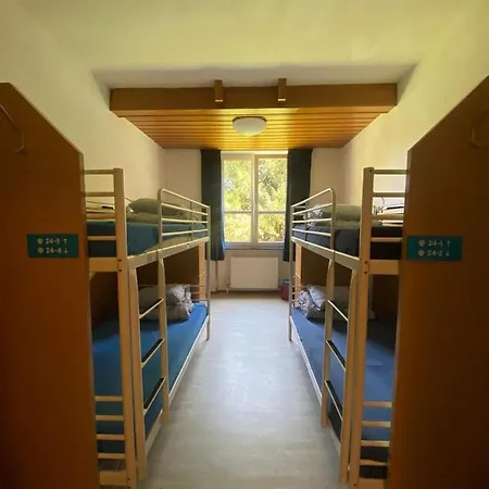 Muffin * سالزبورغ